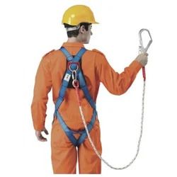 Body Harness
